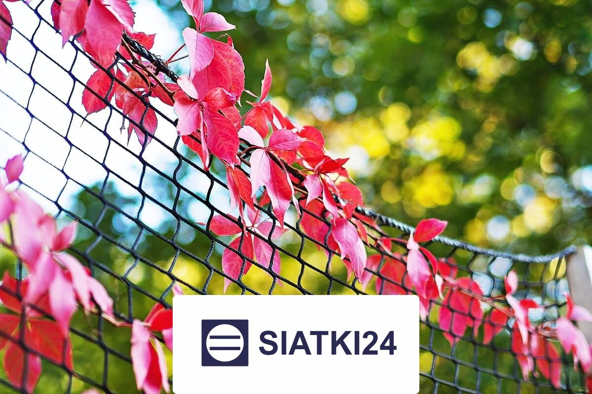   Siatki24.eu - Siatka na ścianę dla roślin pnących - wytrzymała i ochronna 