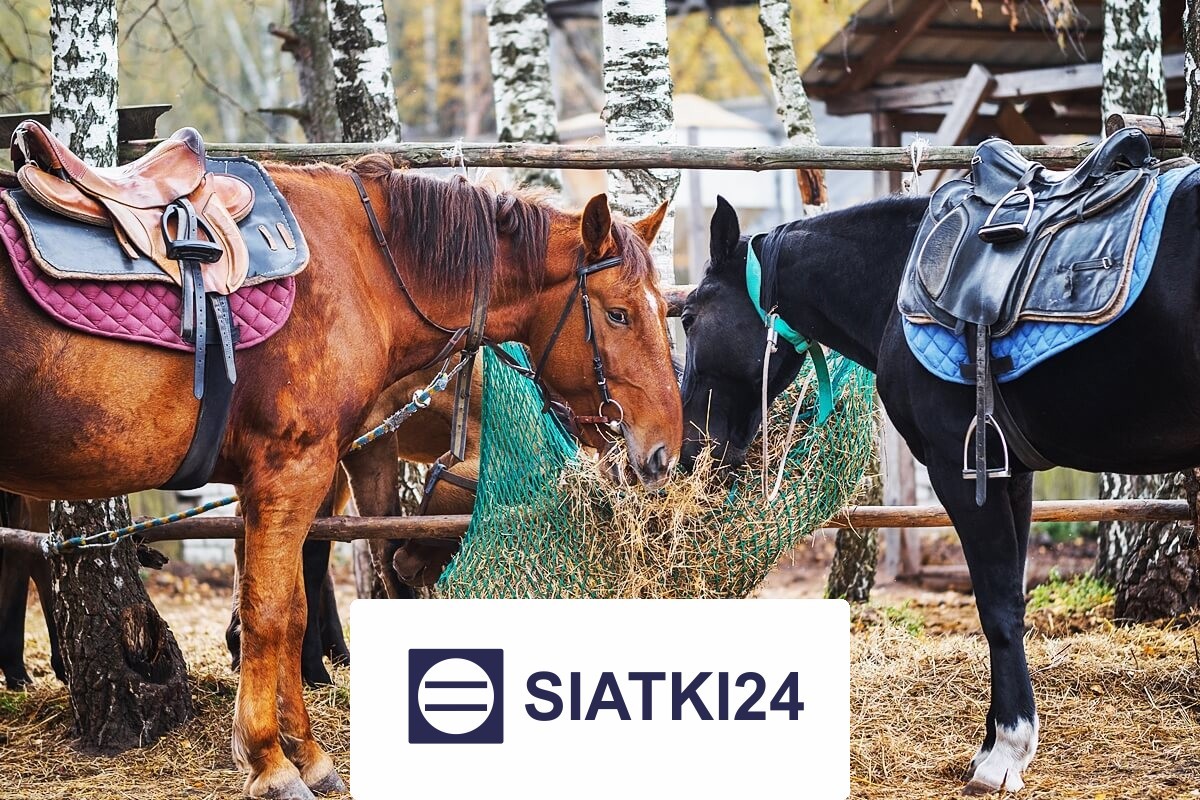 Siatka do hodowli na wymiar - solidna ochrona dla zwierząt i ptaków Siatki24.eu - Siatka do hodowli na wymiar - solidna ochrona dla zwierząt i ptaków