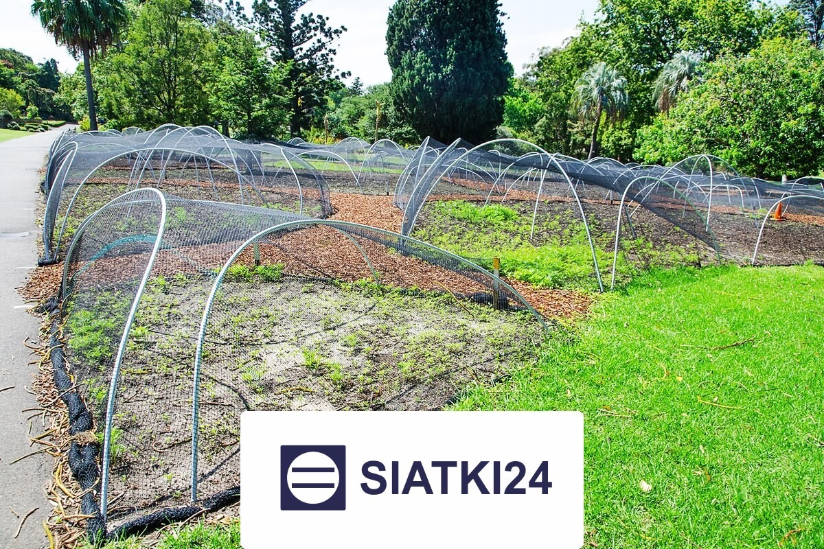 Siatka do ogródka uprawnego do zabezpieczenia warzyw Siatki24.eu - Siatka do ogródka uprawnego do zabezpieczenia warzyw