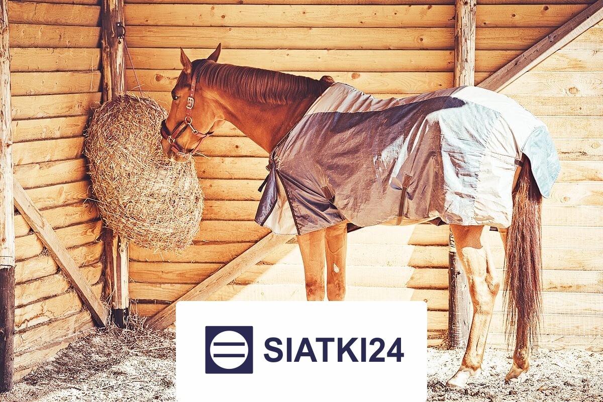 Siatka do hodowli na wymiar - bezpieczna bariera ochronna dla zwierząt i ptaków Siatki24.eu - Siatka do hodowli na wymiar - bezpieczna bariera ochronna dla zwierząt i ptaków