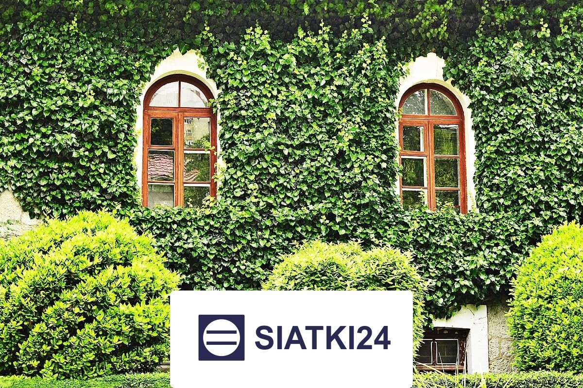  Siatki24.eu - Siatka na ścianę dla roślin pnących - wytrzymała i ochronna 