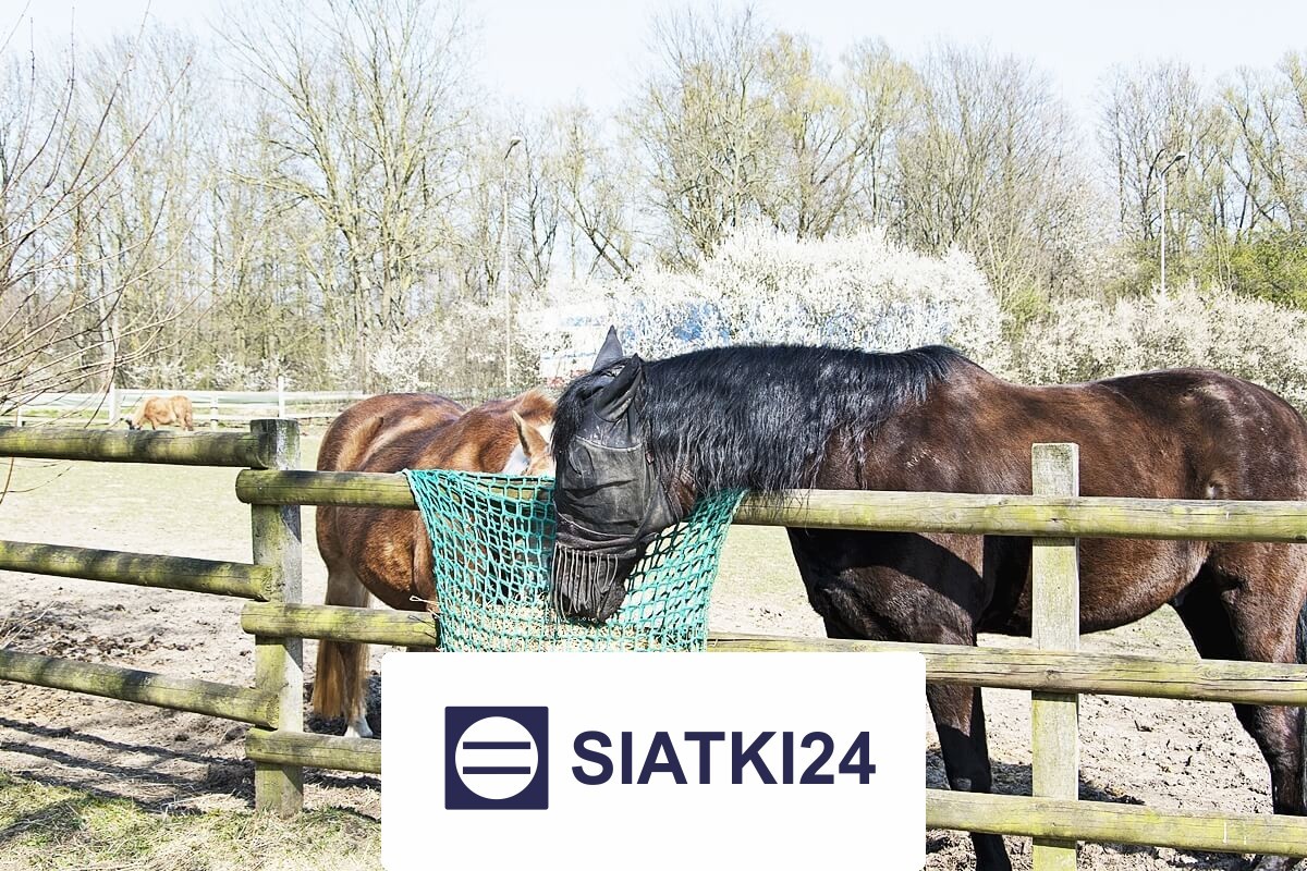 Siatka na siano dla koni, wykonana z grubej siatki o oczku 6x6 cm, dostępna w formie worka kwadratowego do przechowywania. Siatki24.eu - Siatka na siano dla koni, wykonana z grubej siatki o oczku 6x6 cm, dostępna w formie worka kwadratowego do przechowywania.