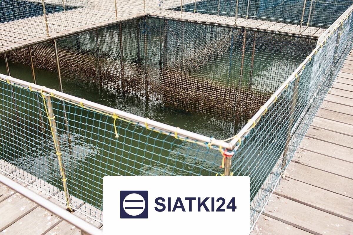   Siatki24.eu - Ogrodzenie ogrodowe na wymiar z siatką o małych oczkach 