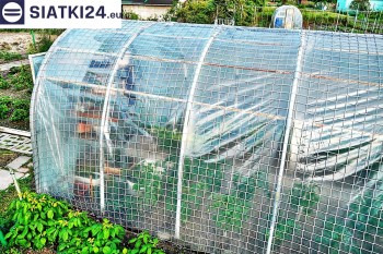  Odporna na wiatr folia ochronna dla upraw warzywnych w tunelach 