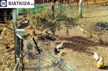  Siatka na woliery - zabezpieczenia ptaków w hodowli 
