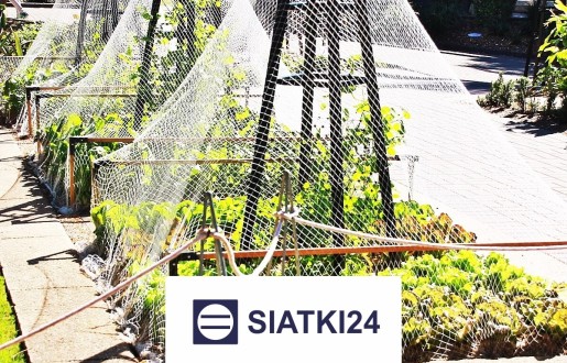   Siatki24.eu - Odpowiednie ogrodzenie grządek podwyższonych to skuteczne rozwiązanie ochronne. 