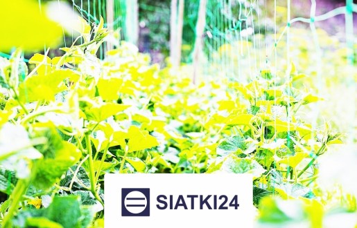 Ogrodzenie grządek podwyższonych do ochrony Siatki24.eu - Ogrodzenie grządek podwyższonych do ochrony