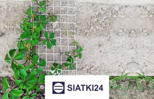  Siatki24.eu - Elementy do budowy trejaży z siatki - solidne i trwałe rozwiązanie optymalne do wykonawstwa ogrodowych konstrukcji. 
