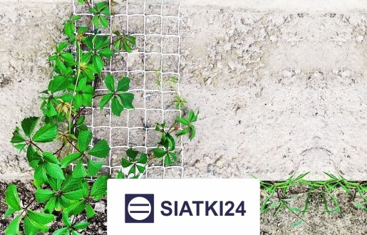 Ogrodzenie grządek podwyższonych do ochrony Siatki24.eu - Ogrodzenie grządek podwyższonych do ochrony