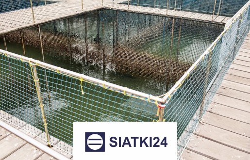   Siatki24.eu - Ogrodzenie kompostownika — optymalne i trwałe rozwiązanie do każdego procesu kompostowania 