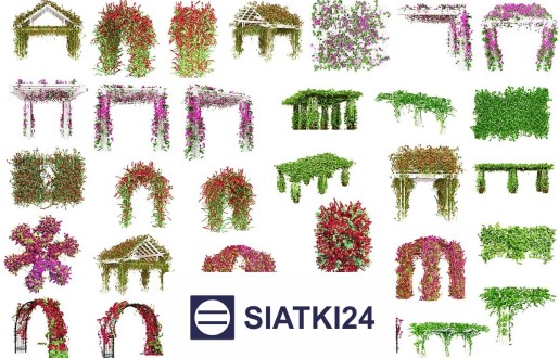   Siatki24.eu - Siatka do budowy trejaży na wymiar - elegancja i funkcjonalność dla rosnących roślin 