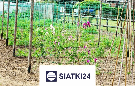 Siatka na ścianę dla roślin do tworzenia pionowego ogrodu z elegancją Siatki24.eu - Siatka na ścianę dla roślin do tworzenia pionowego ogrodu z elegancją