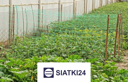   Siatki24.eu - Siatka na ścianę dla roślin do zabezpieczenia pnączy 
