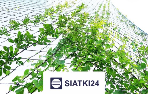   Siatki24.eu - Ogrodzenie grządek podwyższonych do ochrony 