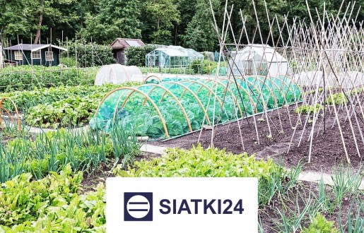   Siatki24.eu - Ogrodzenie do podwyższonych grządek na wymiar 