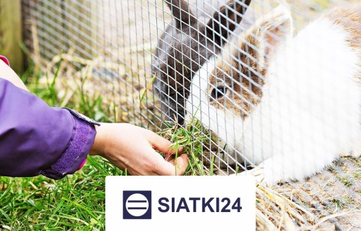 Siatka do hodowli królików na wymiar Siatki24.eu - Siatka do hodowli królików na wymiar