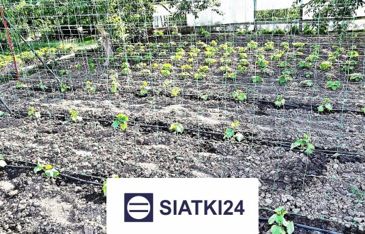 Solidne ogrodzenie grządek podwyższonych, optymalne do zabezpieczenia uprawy. Siatki24.eu - Solidne ogrodzenie grządek podwyższonych, optymalne do zabezpieczenia uprawy.