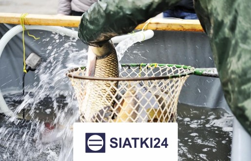 Siatka do hodowli ryb na wymiar — skuteczna ochrona przestrzeni wodnych Siatki24.eu - Siatka do hodowli ryb na wymiar — skuteczna ochrona przestrzeni wodnych
