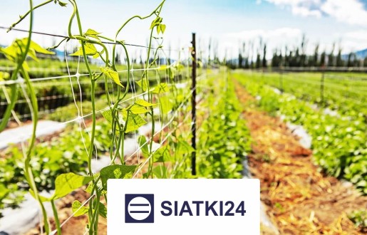 Siatka na ścianę dla roślin, która ochrania Twoją przestrzeń jako zapierające dech w piersiach, żywe dzieło sztuki Siatki24.eu - Siatka na ścianę dla roślin, która ochrania Twoją przestrzeń jako zapierające dech w piersiach, żywe dzieło sztuki