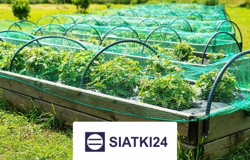  Siatki24.eu - Ogrodzenie grządek podwyższonych do ochrony 