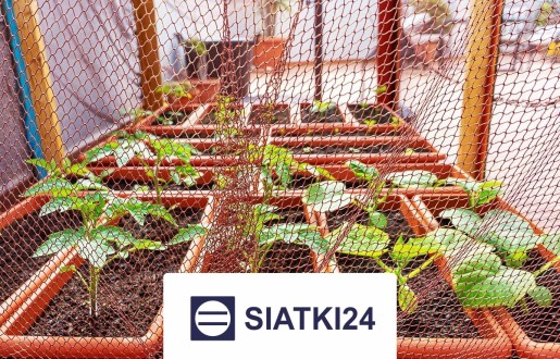 Siatka do ogródka uprawnego na ochronę upraw Siatki24.eu - Siatka do ogródka uprawnego na ochronę upraw