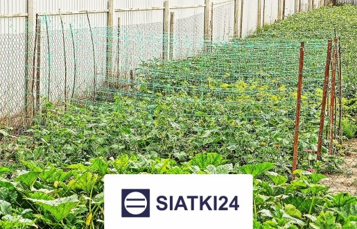   Siatki24.eu - Ogrodzenie grządek podwyższonych podwójnie zabezpieczające — siatka na wymiar 