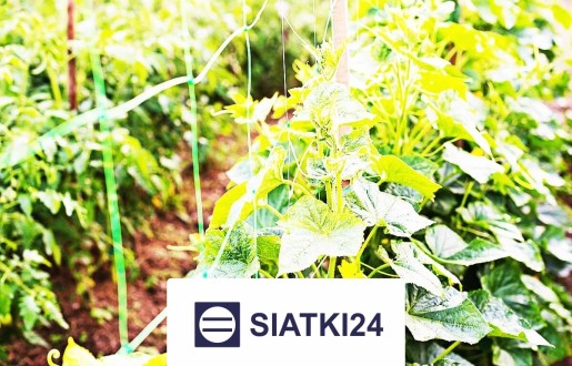 Odpowiednie ogrodzenie grządek podwyższonych to skuteczne rozwiązanie ochronne. Siatki24.eu - Odpowiednie ogrodzenie grządek podwyższonych to skuteczne rozwiązanie ochronne.