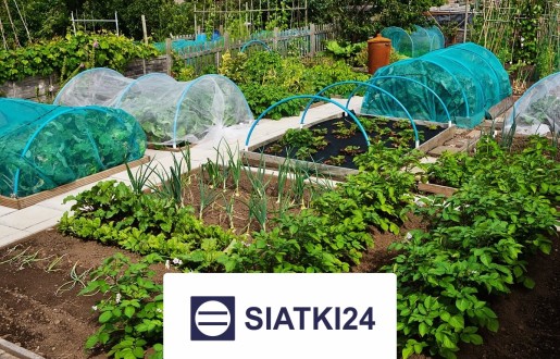 Siatka do ogródka uprawnego - zabezpieczenie Twoich zbiorów Siatki24.eu - Siatka do ogródka uprawnego - zabezpieczenie Twoich zbiorów