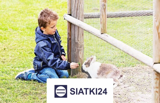Siatka do hodowli królików zabezpieczająca przed ucieczką Siatki24.eu - Siatka do hodowli królików zabezpieczająca przed ucieczką