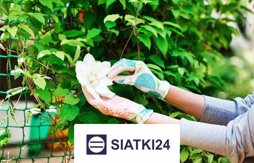  Siatki24.eu - Siatka na ścianę dla roślin, która ochrania Twoją przestrzeń jako zapierające dech w piersiach, żywe dzieło sztuki 
