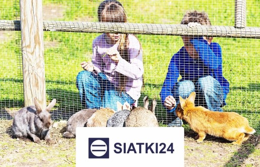 Siatka do hodowli królików ochronna i zabezpieczająca, wykonana z tworzywa, dostępna na metry Siatki24.eu - Siatka do hodowli królików ochronna i zabezpieczająca, wykonana z tworzywa, dostępna na metry