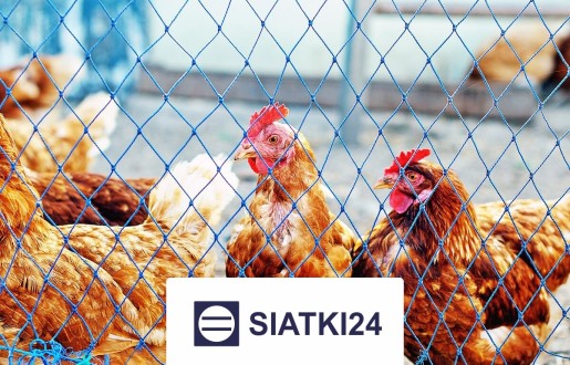 Siatka do hodowli na wymiar - bezpieczna bariera ochronna dla zwierząt i ptaków Siatki24.eu - Siatka do hodowli na wymiar - bezpieczna bariera ochronna dla zwierząt i ptaków