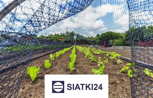 Solidna siatka do ogródka uprawnego o optymalnym przeznaczeniu Siatki24.eu - Solidna siatka do ogródka uprawnego o optymalnym przeznaczeniu