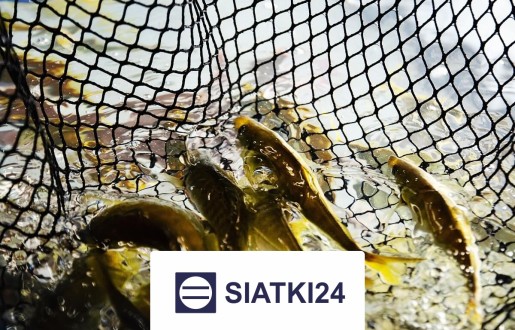 Skuteczna siatka do hodowli ryb jako najlepsze rozwiązanie ochronne Siatki24.eu - Skuteczna siatka do hodowli ryb jako najlepsze rozwiązanie ochronne