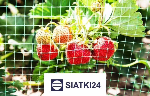 Solidne ogrodzenie grządek podwyższonych, optymalne do zabezpieczenia uprawy. Siatki24.eu - Solidne ogrodzenie grządek podwyższonych, optymalne do zabezpieczenia uprawy.