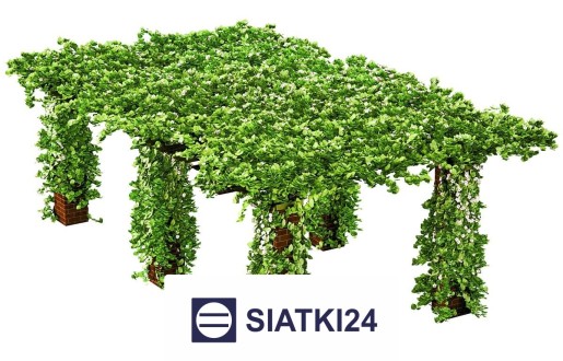   Siatki24.eu - Najlepsze rozwiązanie do budowy trejaży z siatki dla roślin pnących 
