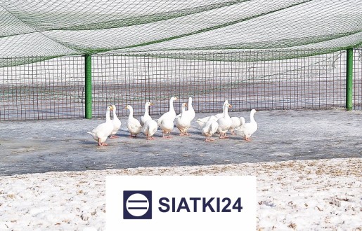 Ogrodzenie dla koni na wymiar, zapewniające najwyższy komfort Siatki24.eu - Ogrodzenie dla koni na wymiar, zapewniające najwyższy komfort