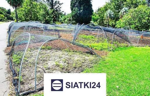 Najlepsze ogrodzenie grządek podwyższonych - skuteczne i wytrzymałe rozwiązanie ochronne Siatki24.eu - Najlepsze ogrodzenie grządek podwyższonych - skuteczne i wytrzymałe rozwiązanie ochronne