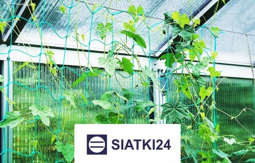 Odpowiednie ogrodzenie grządek podwyższonych to skuteczne rozwiązanie ochronne. Siatki24.eu - Odpowiednie ogrodzenie grządek podwyższonych to skuteczne rozwiązanie ochronne.
