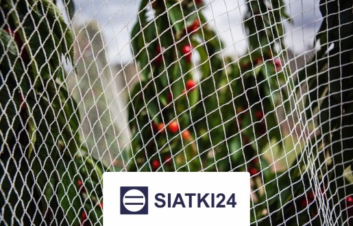 Siatka do ogródka uprawnego na wymiar, zapewniająca ochronę roślin Siatki24.eu - Siatka do ogródka uprawnego na wymiar, zapewniająca ochronę roślin