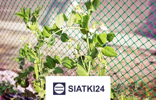   Siatki24.eu - Siatka na ścianę dla roślin do zabezpieczenia pnączy 