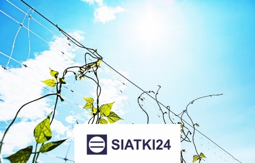 Ogrodzenie grządek podwyższonych do zabezpieczenia roślin Siatki24.eu - Ogrodzenie grządek podwyższonych do zabezpieczenia roślin
