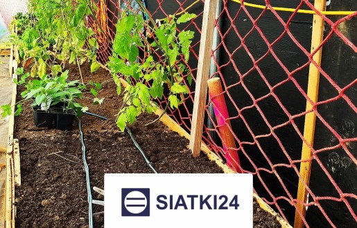   Siatki24.eu - Siatka na ścianę dla roślin – solidne i niedrogie wykonawstwo Twojego zielonego arcydzieła 