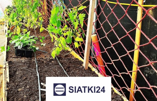   Siatki24.eu - Solidne siatki do ogrodzenia grządek podwyższonych, optymalne i trwałe w niskiej cenie. 