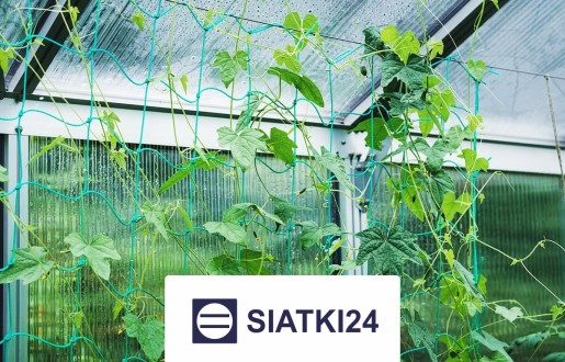   Siatki24.eu - Siatka na ścianę dla roślin do zabezpieczenia pnączy 