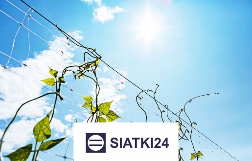   Siatki24.eu - Siatka na ścianę dla roślin, sznurkowa, elastyczna, na wymiar 