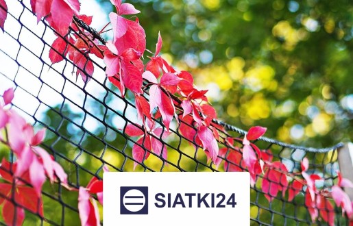   Siatki24.eu - Siatka na ścianę dla roślin pnących - wytrzymała i ochronna 