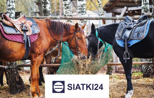 Siatka do hodowli na wymiar - solidna ochrona dla zwierząt i ptaków Siatki24.eu - Siatka do hodowli na wymiar - solidna ochrona dla zwierząt i ptaków