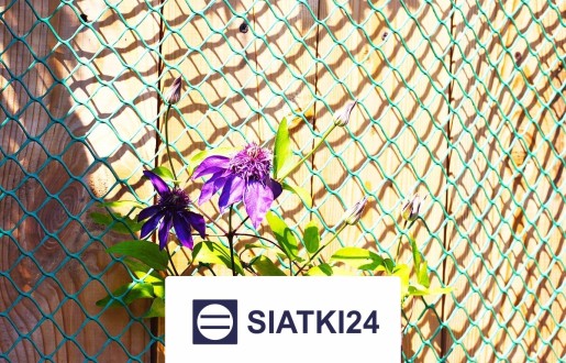   Siatki24.eu - Siatka do budowy trejaży — zabezpieczająca wsparcie dla roślin ogrodowych 