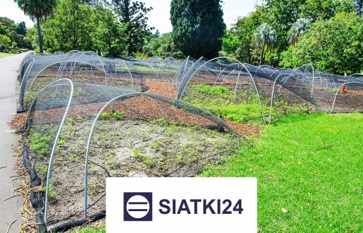 Siatka do ogródka uprawnego do zabezpieczenia warzyw Siatki24.eu - Siatka do ogródka uprawnego do zabezpieczenia warzyw